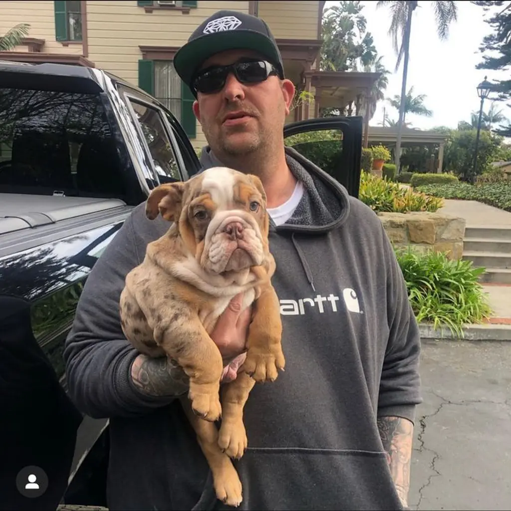 Un hombre con un Bulldog Inglés junto a un vehículo