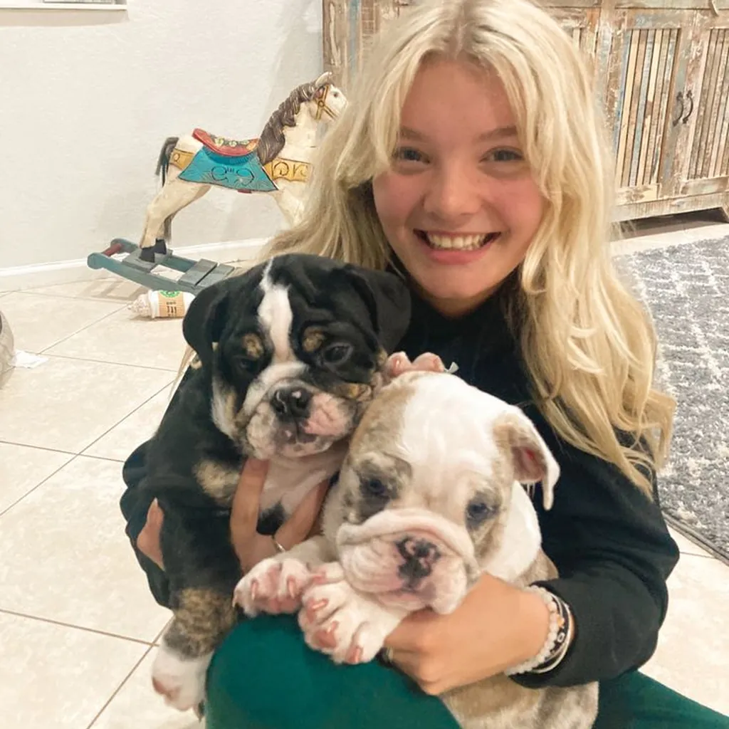 Una mujer sostiene dos cachorros de Bulldog Inglés