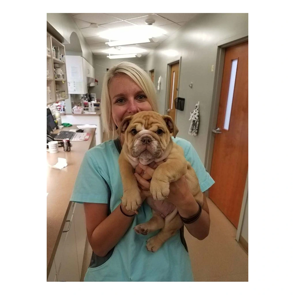 Una mujer sostiene un Bulldog Inglés en casa