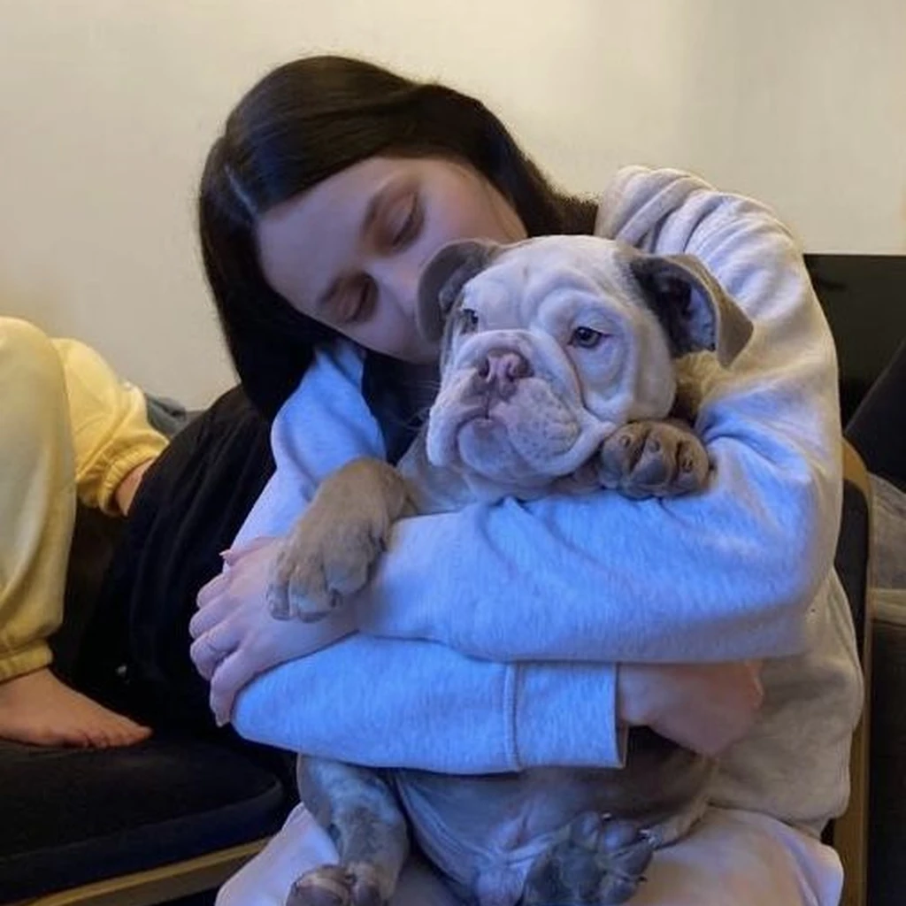 Una mujer abraza a su cachorro de Bulldog Inglés